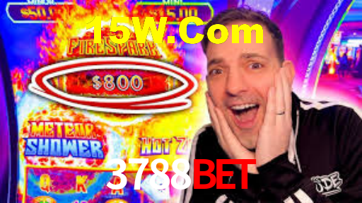 3788bet.com