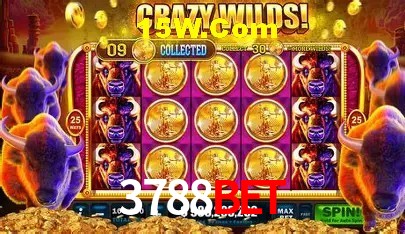 cassino 3788bet